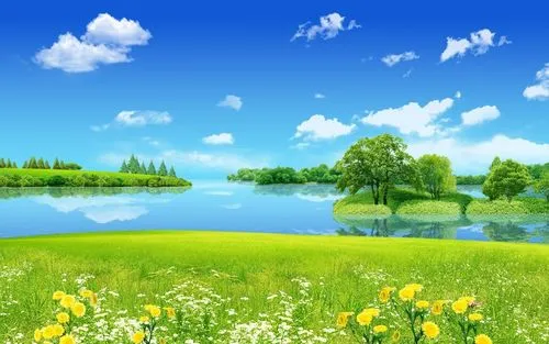 全自动先进节能